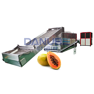 Séchoir à fruits OEM à économie d'énergie, séchoir à bande maillée pour papaye, équipement de séchage continu - Product Image 1