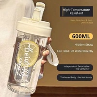 Best verkochte draagbare fruitthee mok, draagbare pc-beker, thee-infuser, minimalistische waterfles, thermosfles voor studenten met rietje