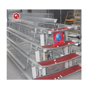 Cage d'alimentation de poulet type H, poulailler de batterie en acier pour la pose de cintre - Product Image 1