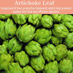 Capsules Détoxifiantes pour le Foie les Plus Vendues avec Choline – Complément Alimentaire qui Aide à Détoxifier le Corps et Favorise la Santé Hépatique - Product Image 4