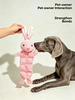 Jouet en peluche pour chien, jouet à mâcher avec papier froissé et couineur, résistant aux morsures, jouet de dentition pour soulager l'ennui