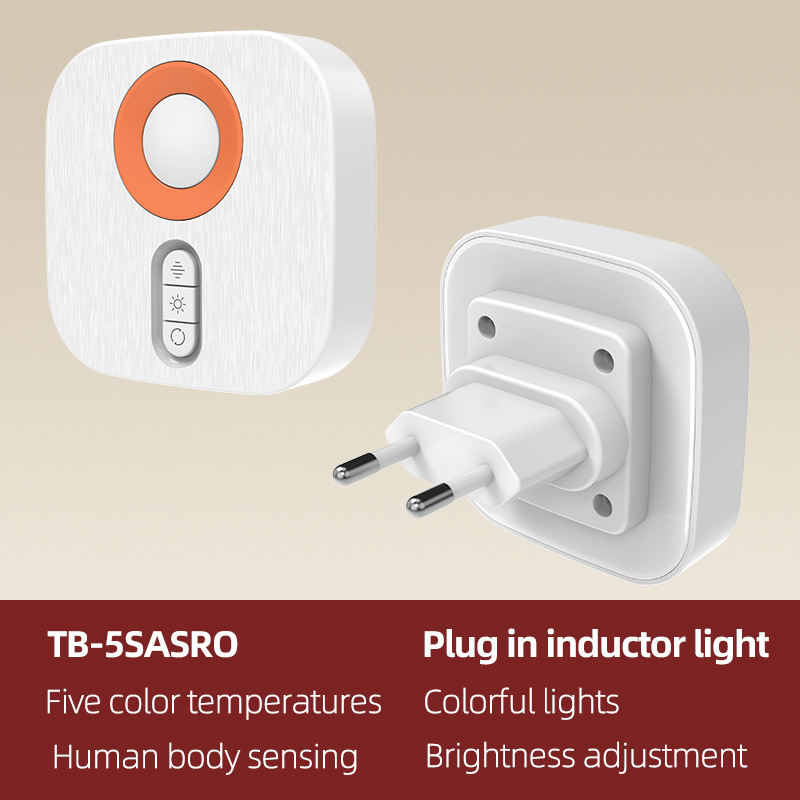 Prise européenne blanche