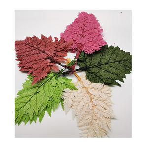 <span class=keywords><strong>Felce</strong></span> sbiancata in <span class=keywords><strong>felce</strong></span> di lunga durata per la decorazione - Product Image 4