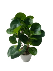 Árbol Artificial de Hojas Verdes Redondas de Alta Calidad, Chamaecyparis <span class=keywords><strong>Araucaria</strong></span> en Maceta para Decoración de Bodas, Fiestas y Navidad - Product Image 1