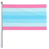 100% Polyester Large 3X5 Ft Transfeminine Pride LGBTQ Drapeau avec deux œillets