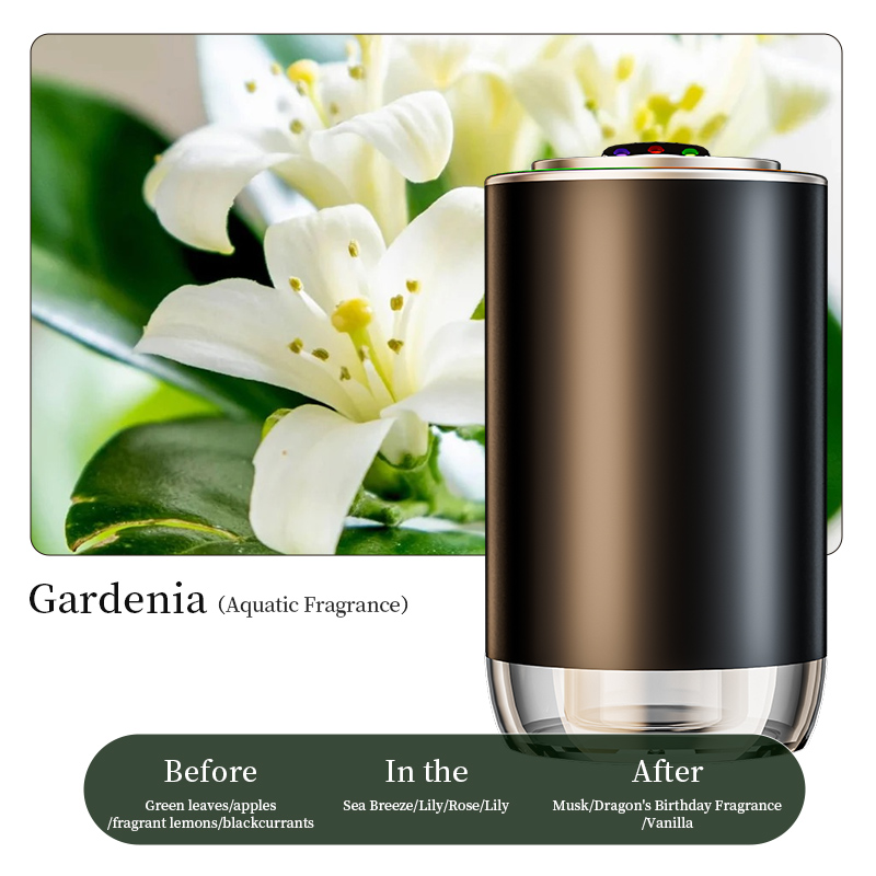 Z10 Gardenia