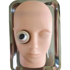 KyrenMed 안과 수술 연습 모델 동물 눈 연습 실리콘 안과 머리 모델 초음파 유화