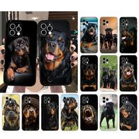 Animaux Oiseaux Tpu Waterproof Anti Drop Cases Mobile Phone Cover Case pour Iphone 17 16 15 14 13 12 Pro Max 17plus 17pro 17promax