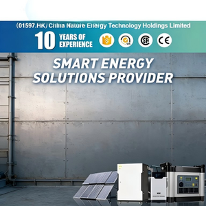 Approvisionnement direct usine : Système solaire domestique mural de stockage d'énergie de haute qualité 51,2 V avec batterie lithium-ion, sortie 20-50 kW - Product Image 4