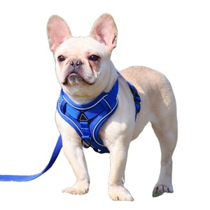 Hight Quality Durable Luxury Personalised Dog H <strong>Harness</strong> Set French Bulldog <strong>Harnesses</strong> for <strong>Cat</strong> Dogs - Product Image 1