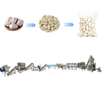 Ligne de production de granulés d'ail en acier inoxydable SUS304 de qualité industrielle, conception sanitaire