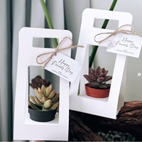 Boîte cadeau personnalisable en papier kraft stratifié pour fleurs, support pour plantes succulentes en pot, boîte d'emballage pour plantes vertes avec poignée, idéale pour offrir à un ami