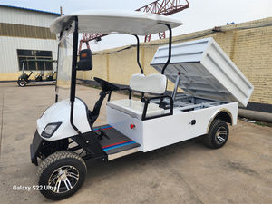 Shininglsv OEM 2 places Cargo Box Chariots de golf Boîte électrique Chariot de golf avec lit plat - Product Image 4