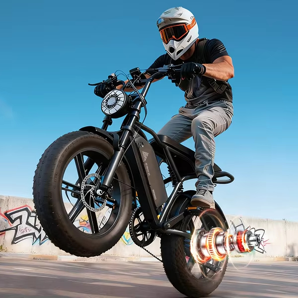 R002 OEM 48V V8 Electric Moped Fatbike EU Stock 20inch 4.0 Electric Dirt Bike Bicicleta Electrica High Speed 15A Vintage Ebike