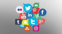 Service de développement d'applications de réseautage social personnalisé de premier ordre Version Internet prise en charge sur Linux en vente