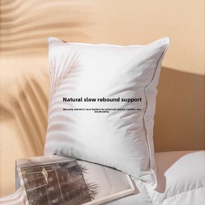 Coussins de canapé sur mesure de qualité export, non-pliables, avec soutien lombaire, garnissage polyester, entièrement en coton - Product Image 2