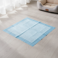 Tapis absorbant jetable pour animaux de compagnie, super absorbant SAP, pour l'apprentissage de la propreté des chiots, imperméable et anti-fuite, pour chiens et chats