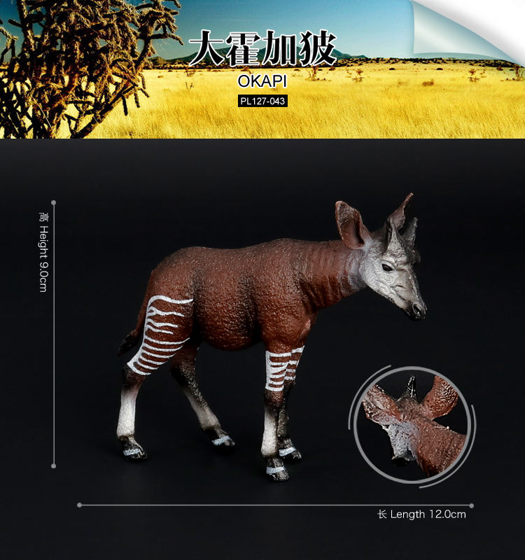043 Ciervo okapi