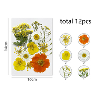 Fleurs pressées naturelles multicolores pour artisanat DIY, fleurs préservées en gros