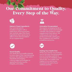 Alta linea di produzione 1000kg/hr capsula di succo di melograno organico naturale alla rinfusa vitamine sostenere sostanze organiche melograno in polvere - Product Image 4