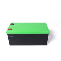 GNLi Best Seller Baterai Lithium LiFePO4 12V 200Ah Pengganti Aki Timbal Asam untuk Solar RV Marine Cadangan Rumah 3000 Siklus 2 Tahun Garansi