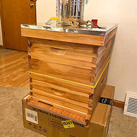 Nouvelle ruche Langstroth en bois de pin, super profonde, pour apiculture, à bas prix, ruches en bois