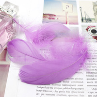 Plumes d'oie flottantes colorées DIY, directement du fabricant, pour boîte cadeau macaron rêveuse, garniture décorative, 100 pièces/paquet