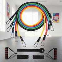Juego de Bandas de Resistencia para Entrenamiento en Casa - Bandas de Ejercicio Largas con Asas y Anclaje para Puerta para Entrenamiento de Fuerza de Cuerpo Completo, Goma TPE para Dominadas