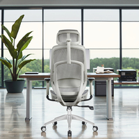 Chaise de bureau exécutive réglable en maille ergonomique avec base pivotante en acier moderne, vérin à gaz certifié classe 3, soutien lombaire réglable pendant 3 ans