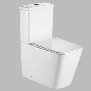 2022 nuovo stile di fabbrica montaggio a pavimento quadrato moderno WC Back To Wall bagno CE Water Closet WC