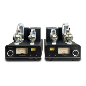 Verbesserter Sprach-300B-845-Röhrenverstärker mit 35W Standlautsprechersystem - Product Image 5