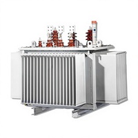 Transformateurs industriels triphasés 200-630 kVA 10 kV 20 kV 35 kV immergés dans l'huile pour la fabrication