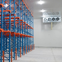 Solution de stockage frigorifique pour viandes transformées, chambre froide pour jambon, pour le stockage et la conservation des produits carnés