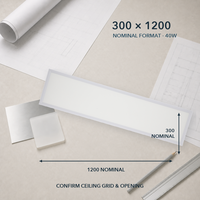 Panneau lumineux LED commercial 300x1200 40W Opale standard pour projets de bureaux