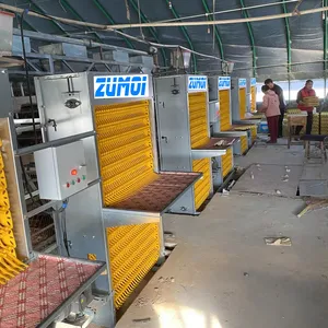 Layer Battery Farming Cage Automatic Egg Collection Machine System