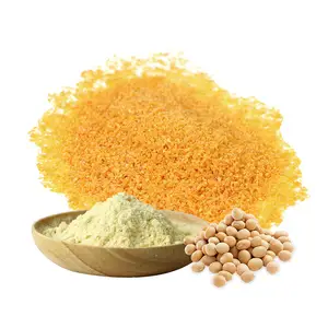 AMULYN Soya Lecithin Food Supplements Soybean Lecithin Granules Extract Phosphatidylcholine Soy Lecithin Powder