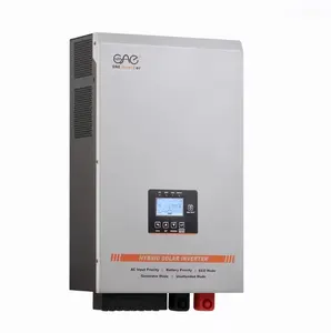 3kw 1.5kw 2kw 4kw 5kw 6kw off grid hybrid solar inverters 40A 60A mppt build in 12v 24v 220v pure sine wave