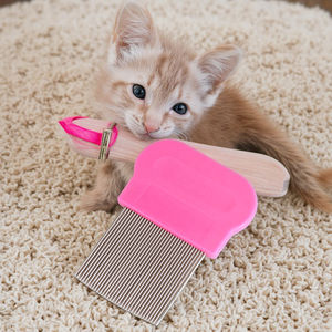 Peine para Piojos Antideslizante con Logotipo Personalizado, Clásico de Acero Inoxidable con Agujas Ranuradas de Plástico para Control de Piojos, Liendres y Garrapatas, Cómodo - Product Image 2