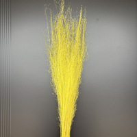 Bunga Awetan Tanaman Broom Bloom Bunga Kering Pelangi Pewarna Bunga Kering untuk Dekorasi Rumah Buket Pernikahan Perlengkapan Florist DIY