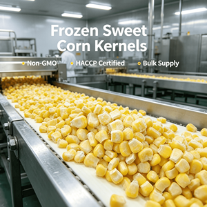 Maïs Sucré <span class=keywords><strong>Congelé</strong></span> en Gros pour Restaurants, Hôtels, Cafétérias, Cantines Scolaires, Hôpitaux, Traiteurs Aériens - Importateur et Distributeur - Product Image 1