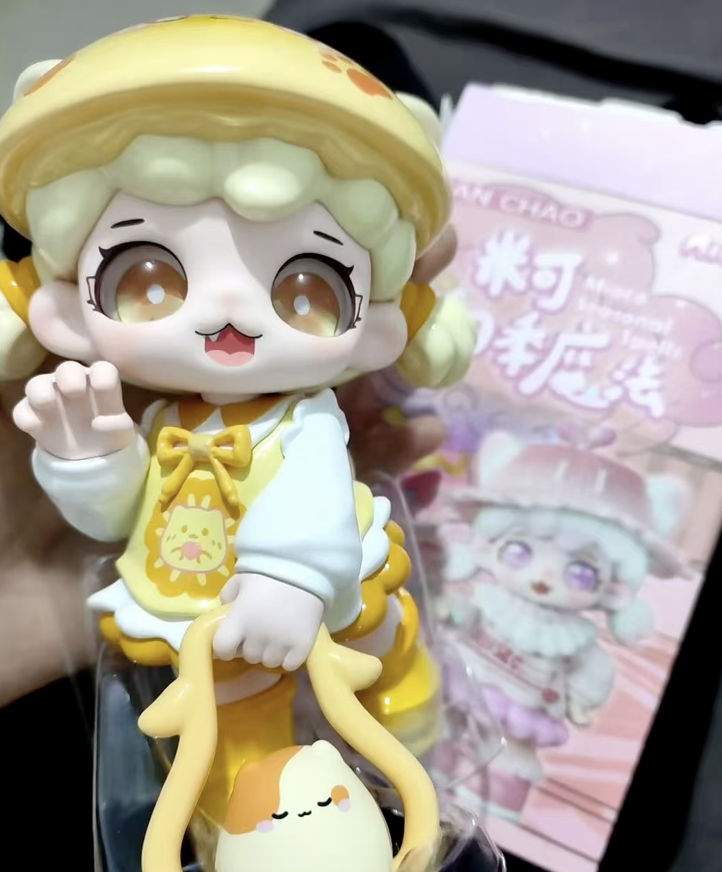 กล่องสุ่มเดี่ยว