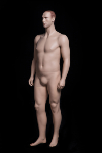 PLUSMAN2 Maniquí Masculino de Cuerpo Completo, Maniquí de Hombre con Piel - Product Image 4