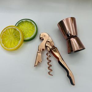 Ensemble de shaker à cocktails Camol Factory avec support, 10 pièces, kit de mixologie pour barman, acier inoxydable, rose, outils de bar - Product Image 6
