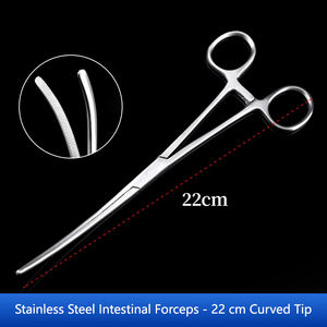 Pinces intestinales vétérinaires, instruments chirurgicaux vétérinaires <span class=keywords><strong>de</strong></span> <span class=keywords><strong>proctologie</strong></span>, instruments chirurgicaux vétérinaires - Product Image 5