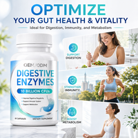 Capsules Probiotiques Véganes OEM/ODM : Enzymes Digestives et Complexe Prébiotique pour la Santé Intestinale, l'Équilibre Digestif et le Soutien au Bien-être