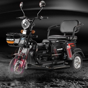 Triciclo Eléctrico para Pasajeros, Motocicleta Todoterreno, Moto de Motocross para Adultos, Motorizada, Edición Alta, 600W 48V, Nuevo Estilo, con Pedales - Product Image 2