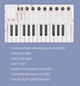 Controlador de teclado <span class=keywords><strong>MIDI</strong></span>, teclado arreglista portátil, RGB, Strike Pad, teclado, 1, 2, 2 - Product Image 3