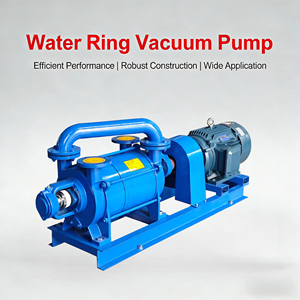 Pompe à vide annulaire en acier inoxydable SK-10 11 kW à haut débit pour l'aération des eaux usées industrielles - Product Image 1
