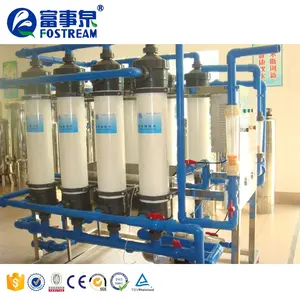 Fostream Compact Hollow Fiber UF Membrane Filter Mineral Water Microfiltration Equipment