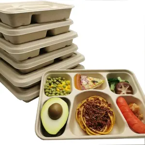 Disposable Rectangular 7 sections lunch trays biodegradable compostable sugarcane bagasse plates 7 compartment plate